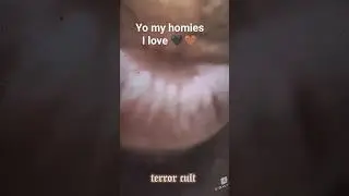 New smurf cat 