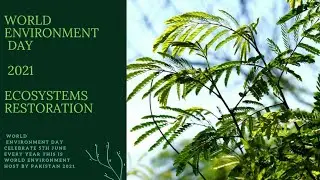 World Environment Day 2021 / 5 June/Ecosystem Restoration/ The Decade UN  Programme/ PPT