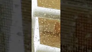 sta piovendo e io devo uscire per mangiare con le mie amiche 
