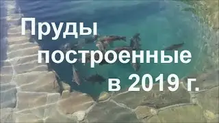 Пруды построенные в 2019 г.