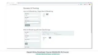 Dynamic UI Training | DS4B 202-R