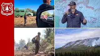 Our Forest Bill Is Due