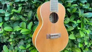 Good Vibes With The Mitchell Ukulele MU40C