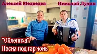 "Облепиха" песня под гармонь. Душевная песня о любви. Поют  Николай Лудин и Алексей Медведев.