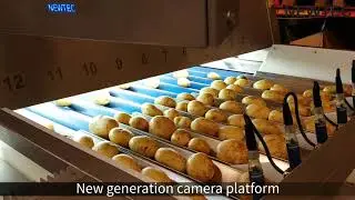 Newtec Optical Sorting Machine, model Celox-P-UHD