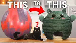 DIY Cactus Cat House (a CATcus!)