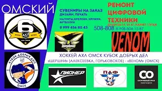 ХОККЕЙ "Шершни" (Алексеевка, Горьковское) - "Веном" (Омск) "Кубок Добрых дел"