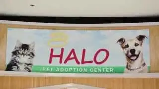 HALO's 21st Birthday