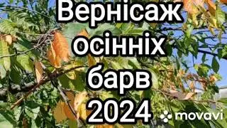 Осінь малює чарівним пензлем /// Вступ до проекту  #вернісаж_осінніх_барв_2024