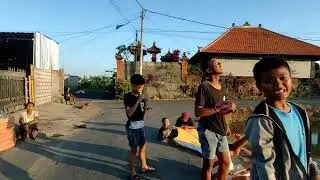 Sahabat pelayang menaikkan layangan celepuk big size di pinggir sawah