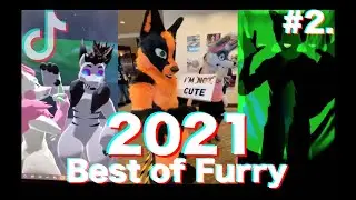 Best furry Tik Tok 2021 #2