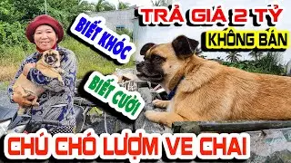 Câu chuyện cảm động về chú chó trung thành(Bé Na) theo mẹ đi lượm ve chai trả giá mua 2 tỷ không bán