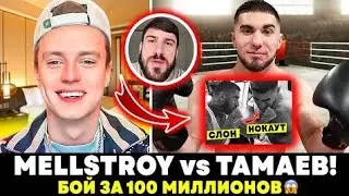 Бой Mellstroy vs Тамаев  100 миллионов рублей готов дать Мелстрой за бой Асхаба и Слона