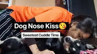 Spending Time with My Dog Shinchan 🐶 | His Funny Reactions 😅