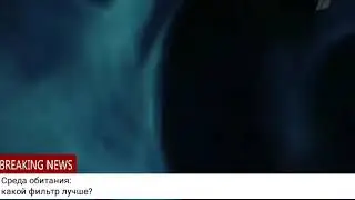 Среда обитания: какой фильтр для воды лучше?
