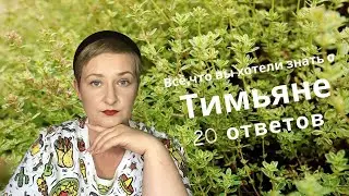 20 вопросов о тимьяне| всё, что вы хотели знать о тимьяне.