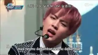 BTS - Blood Sweat & Tears Fanchant