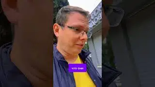#фрс