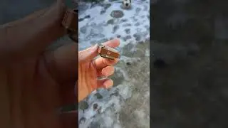 Губная гармошка Hohner Blues Harp (D). Первый смотр.