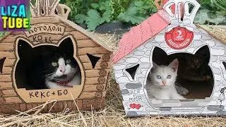 Дом для котиков из картона Строим КОТЭдж для Котэ LizaTube