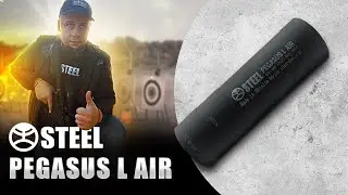 STEEL PEGASUS L