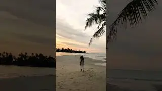 Sunset, Koh Kood island, Thailand/ Закат, пальмовый остров Ко Куд, Таиланд🌴🥥🌊 #kohkood #thailand