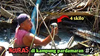 NGURAS SPOT IKAN TEMBAKANG 4 EKOR SEKILO