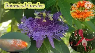 Botanischer Garten | A majestic Botanical Garden in Erlangen Germany #garden #erlangen
