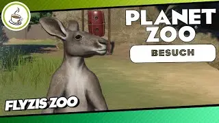 Flyzis Zoo von Flyzii «» PLANET ZOO Community Besuch 🏕 | Deutsch German