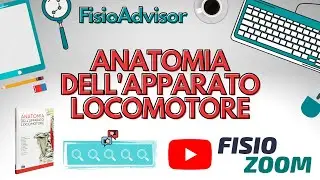 ANATOMIA DELL'APPARATO LOCOMOTORE/ #FisioAdvisor