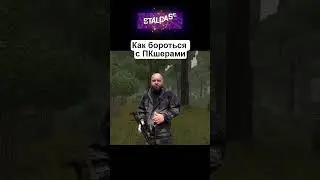 Как бороться с ПКшерами в STALCRAFT 