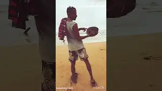 Found a coconut at the beach#coconnut #shortvideo ##andamanbeach #somethingcrazy