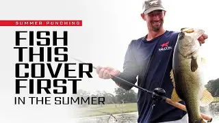 Flipping/Punching the RIGHT Cover in the SUMMER – with Luke Palmer