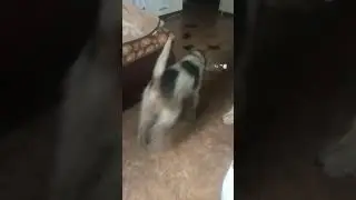 Мой защитник)💗