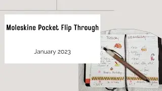 Moleskine Pocket Daily Planner Flip Through - January 2023 
