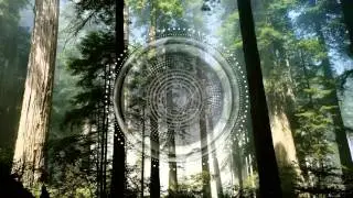 Lehar - Zephyr