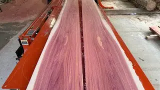From Forest to Finished Product: A Sawmill's Journey of Creation