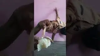 கனவா பிஷ் KANAVA FISH