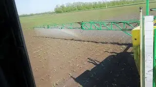 Хим прополка кукурузы. Гербицидная обработка кукурузы от сорняков.