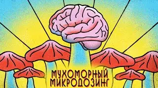 Мухоморный микродозинг | 3 месяца микродозинга мухомора | Творческий допинг легально