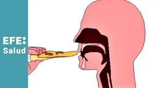 Logopedia, aprender a respirar, hablar y comer después de un cáncer de cabeza y cuello
