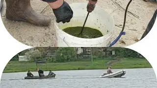 Лікування річки і риби хлорелою, сьогодні  клювання в розгарі!