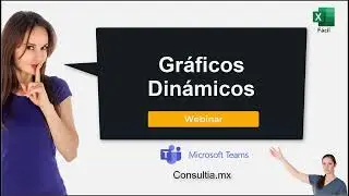 Webinar de gráficos dinámicos con Excel