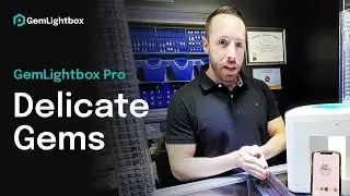 GemLightbox Pro Testimonial – Delicate Gem