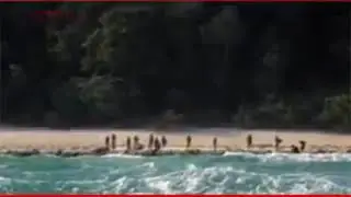 1 cewek dan 10 cowok? Apakah yg akan terjadi? dalam satu pulau dan tidak bisa kemana mana