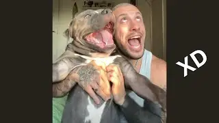 VIDEO VIRAL DE RISA - SI TE RÍES OTRA VEZ FRACASAS - [999.99 IMPOSIBLE NO REÍRSE] #17