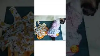 Amo Demais minha Filha de 4 Patas🐈🐈