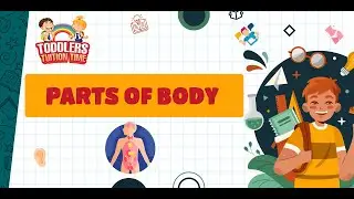 Human Body Parts Name With Picture | Body Parts For Kids | Parts Of Body Rhymes