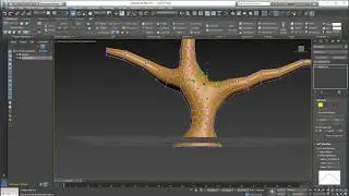 7  Build an Oak Tree Use Soft Selection