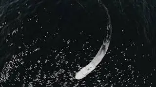 Boat Animation with white water I Blender I myko